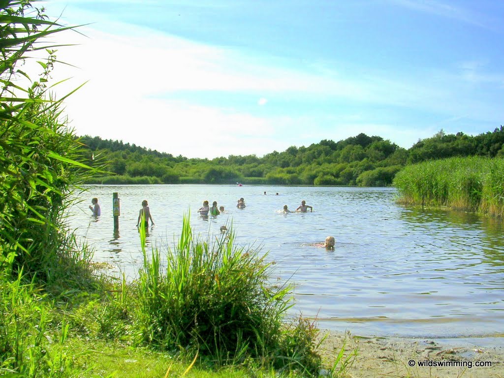 People swimming and having fun in a lake in Delamere Forest.