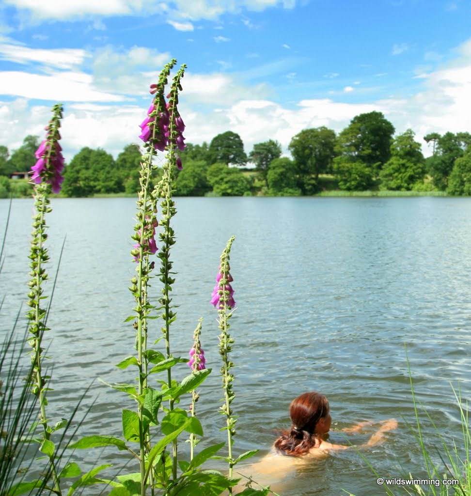 A woman swimming in the lake.
