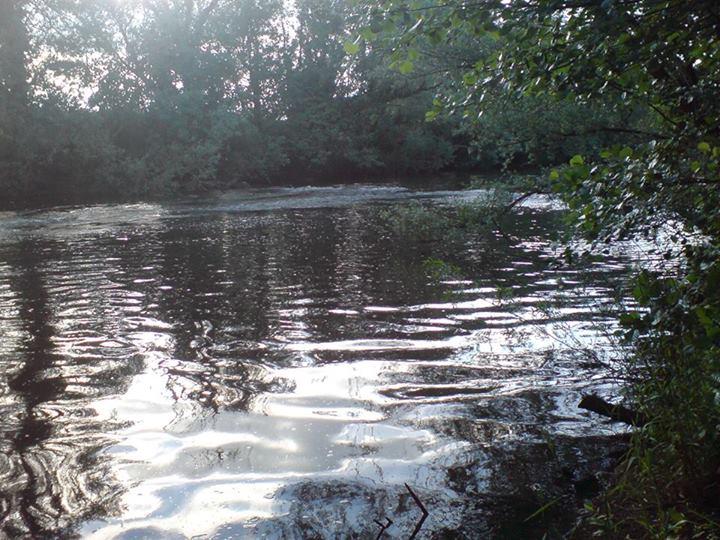 Island Picnic site Usk river view 1