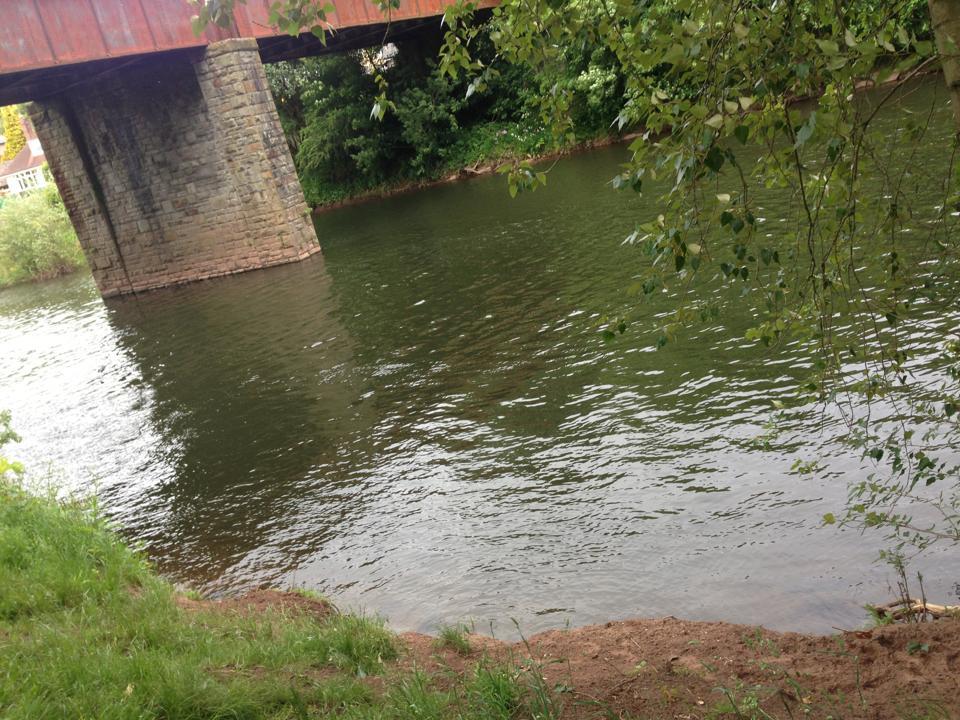 Island Picnic site Usk river view 3