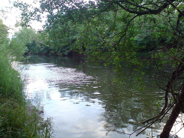Island Picnic site Usk river view 2
